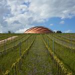 Tenuta Castelbuono