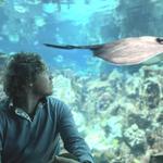 National Aquarium
