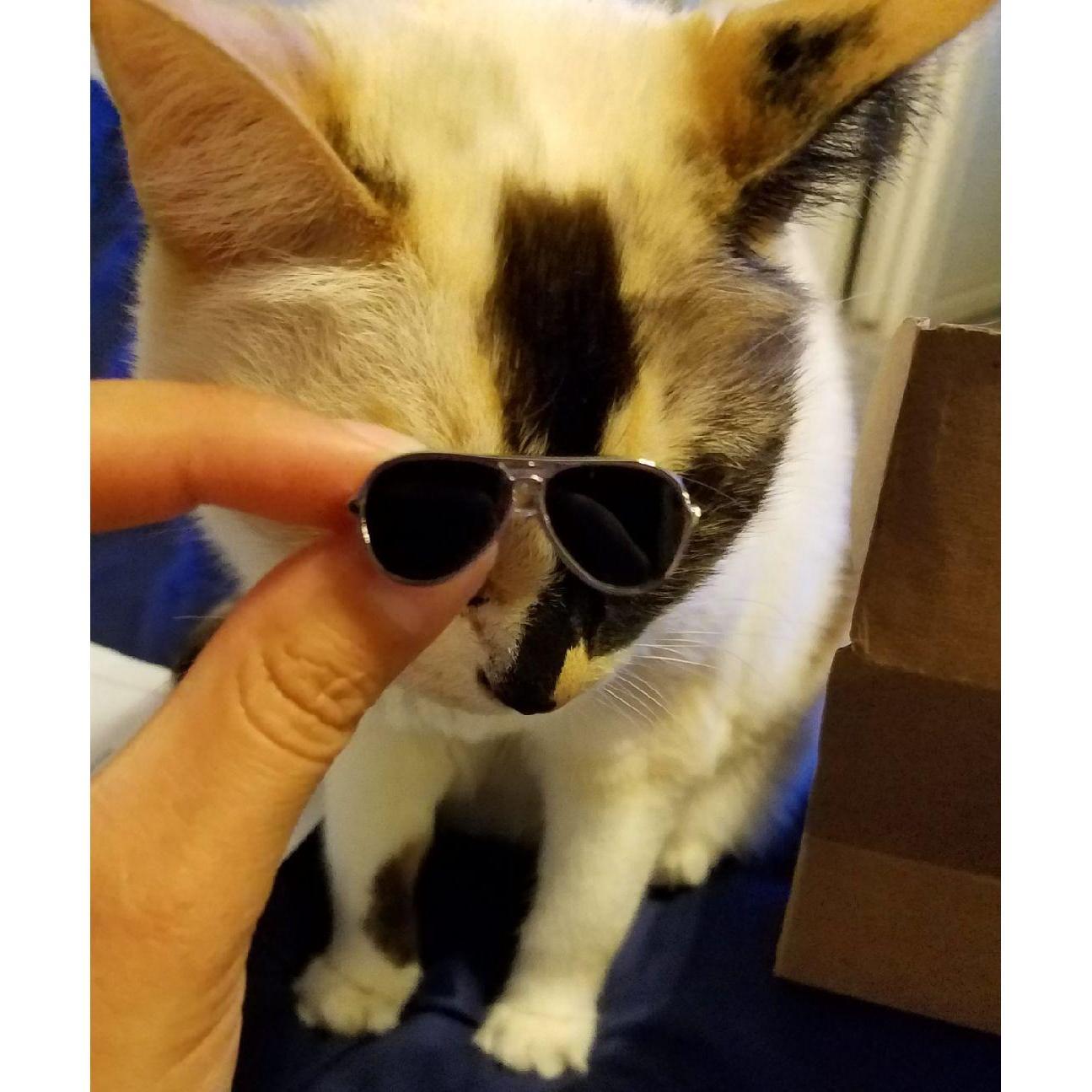 Be cool