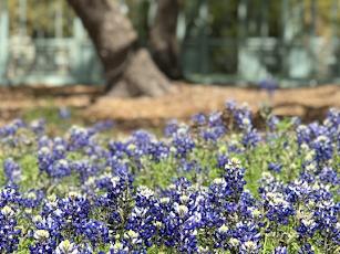 The Wedding Website of Donnie Griffin and Bianca Lister