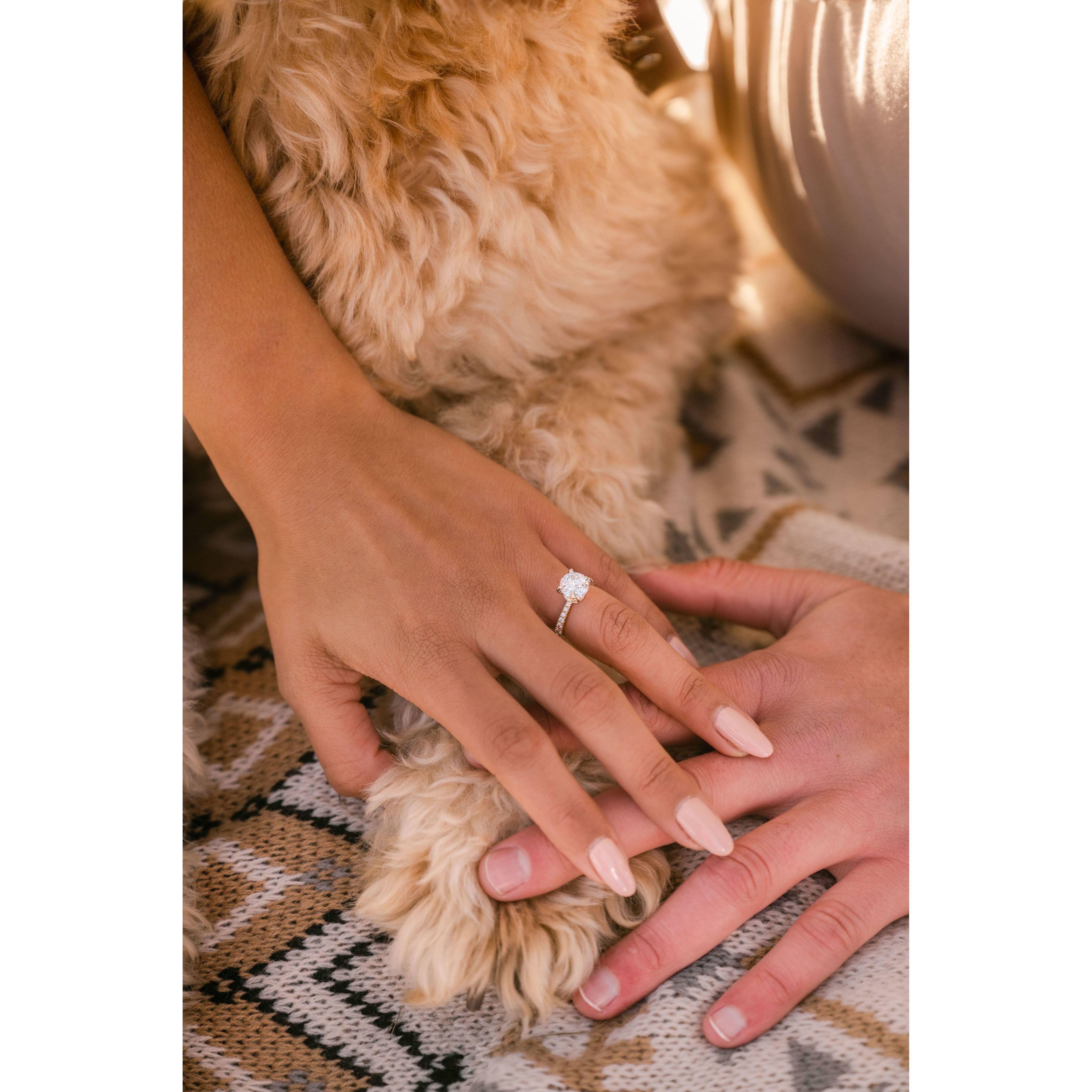 All hands in for getting married!