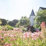 Folktale Winery & Vineyards