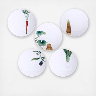 Kyoka Shunsai Plate, Set of 5