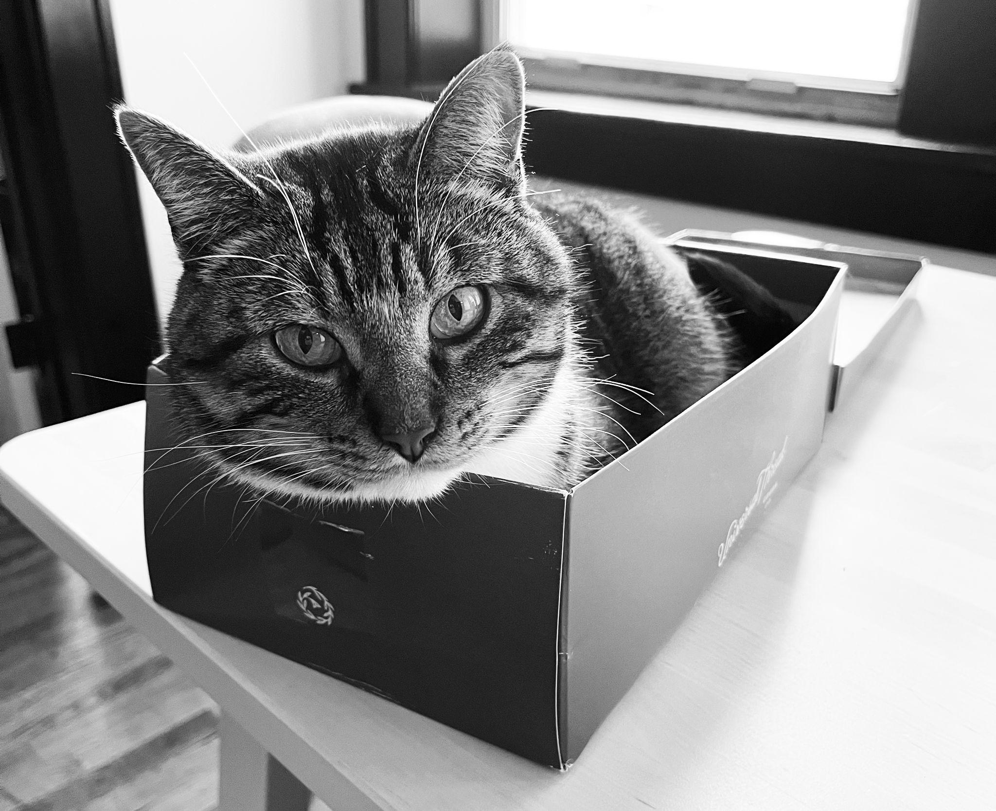 The Wedding Website of Emma Cooney and Steven Niday