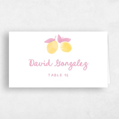White Wedding Place Card - Spiaggia