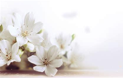 The Wedding Website of Esther Ballard and Brandon Moller