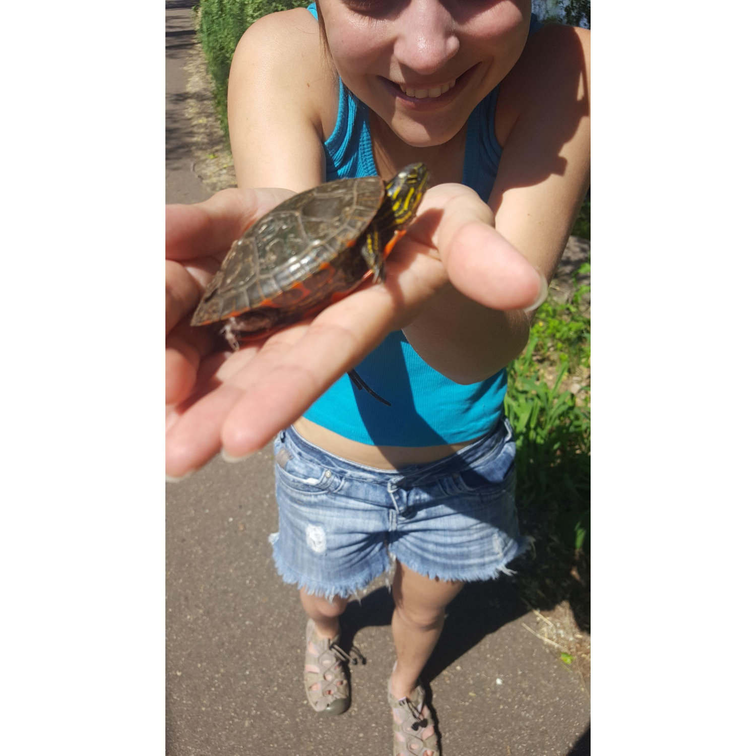 Just a baby turtle found outside our apartment.
