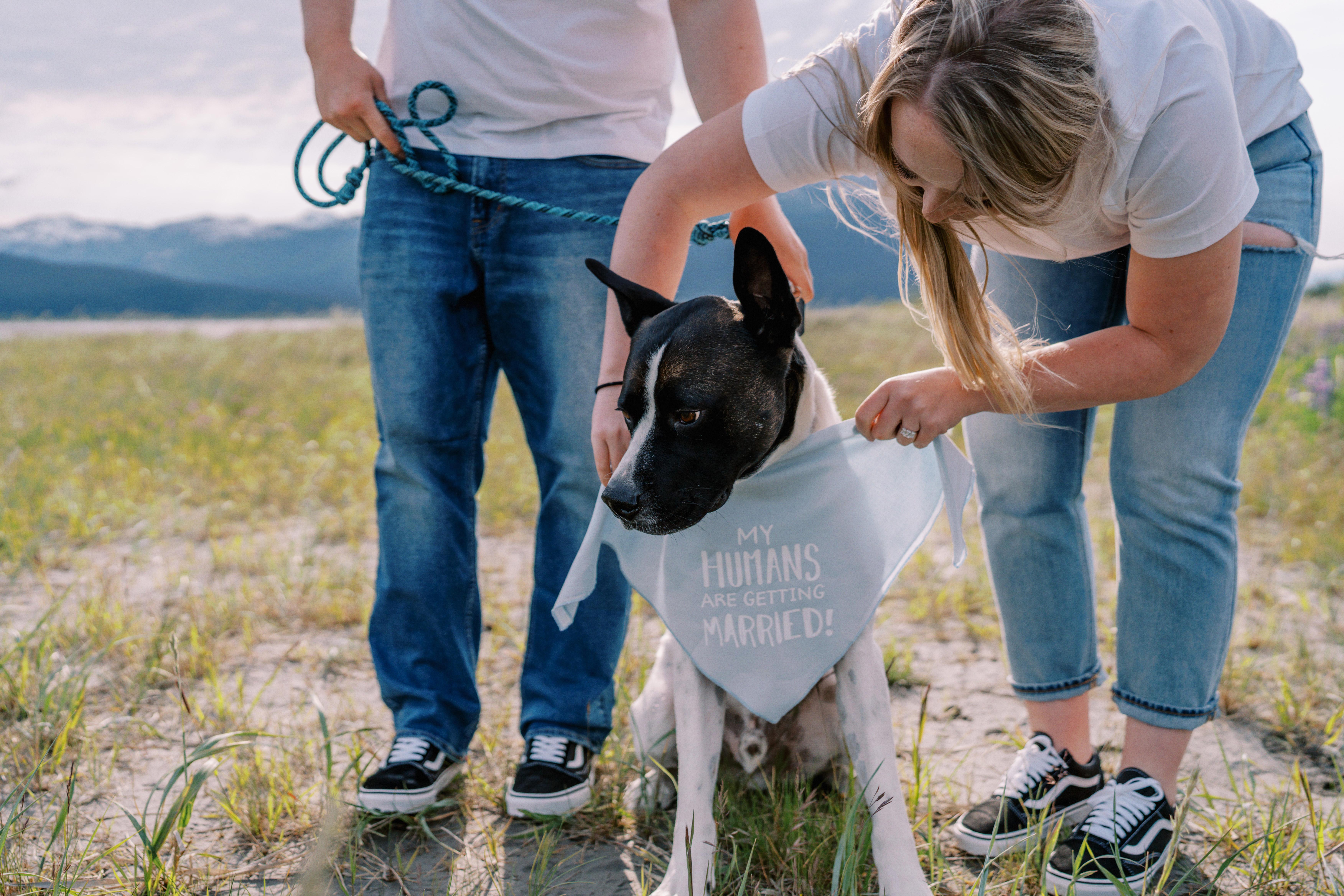 The Wedding Website of Maggie Cronen and Tyler Shade