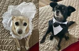 The Wedding Website of Russell Gerkitz and Sumer Marney