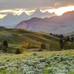 Red Rock Ranch Activities