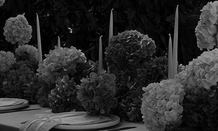 The Wedding Website of Emily Robertson and Jacob Friend