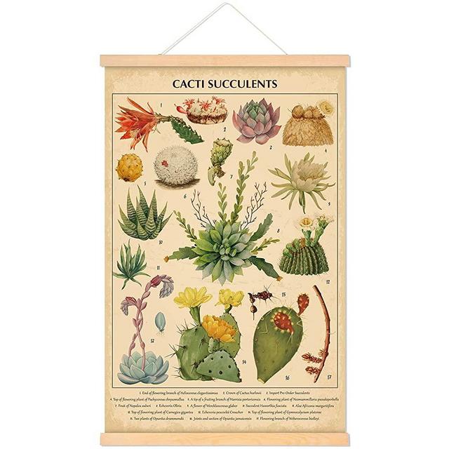 Vintage Cacti Succulents Poster Cactus Wall Art Prints Rustic Cactus Hanging Wall Decor Hanging Canvas Frame Wall Poster for Living Room Office Classroom Bedroom Dining Room Decor, 15.7 x 23.6 Inch