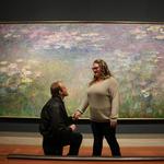 The Nelson-Atkins Museum of Art