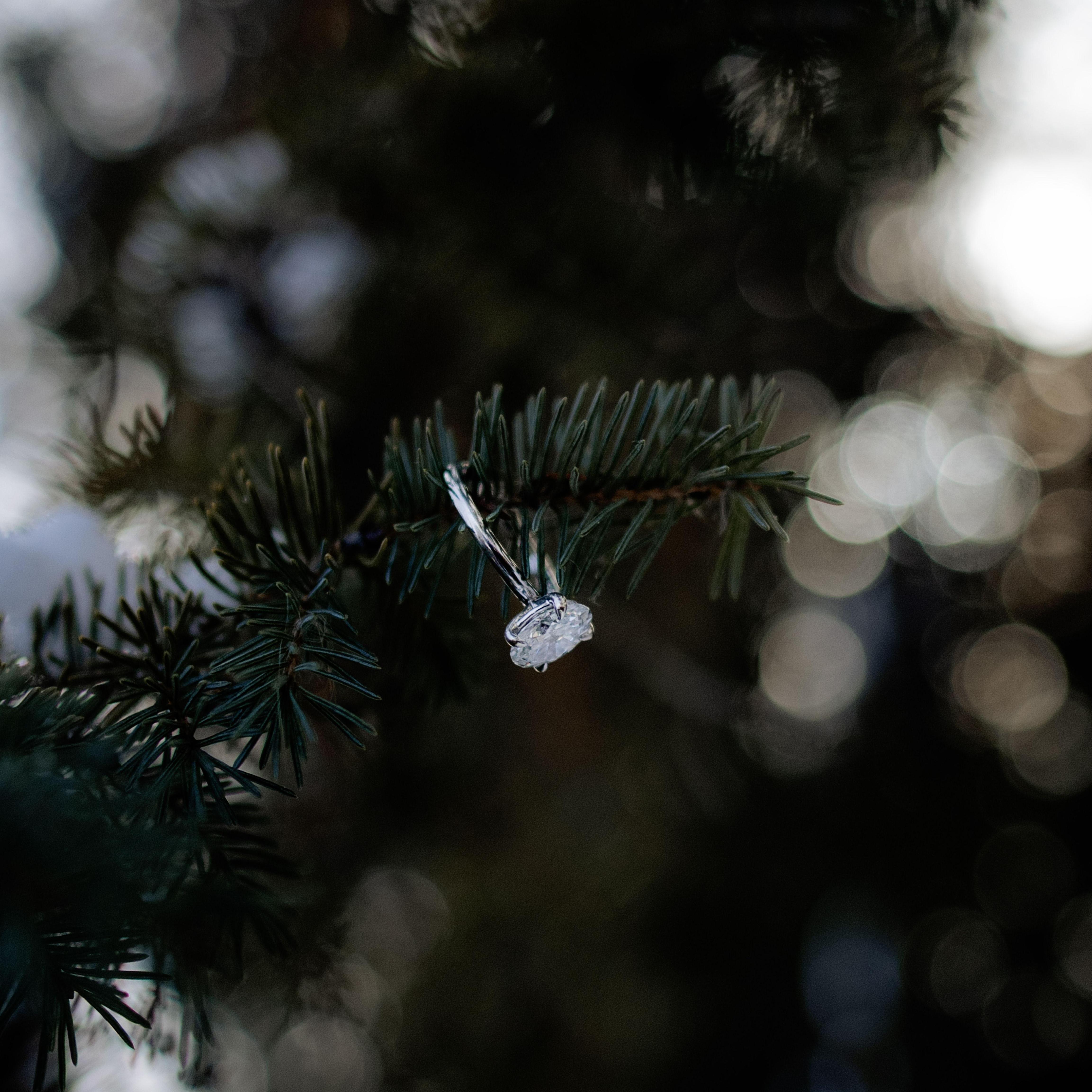 Who knew a pine tree could be prettier! 💎