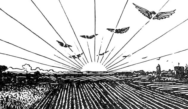 The Wedding Website of Sarah Erickson and Maxwell Bank