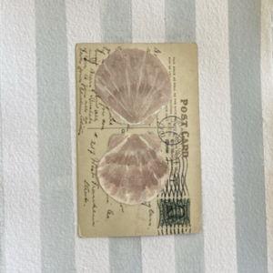 Honeymoon Fund