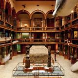 Bishop Museum