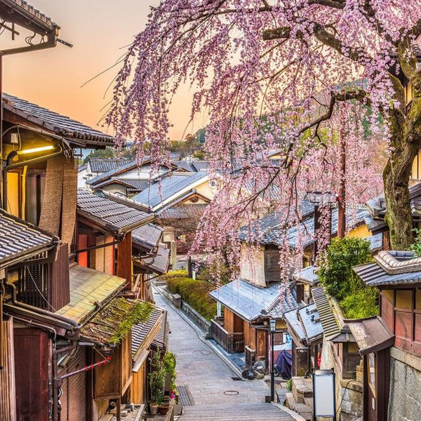 Japan and Vietnam Honeymoon