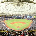 Tampa Bay Rays