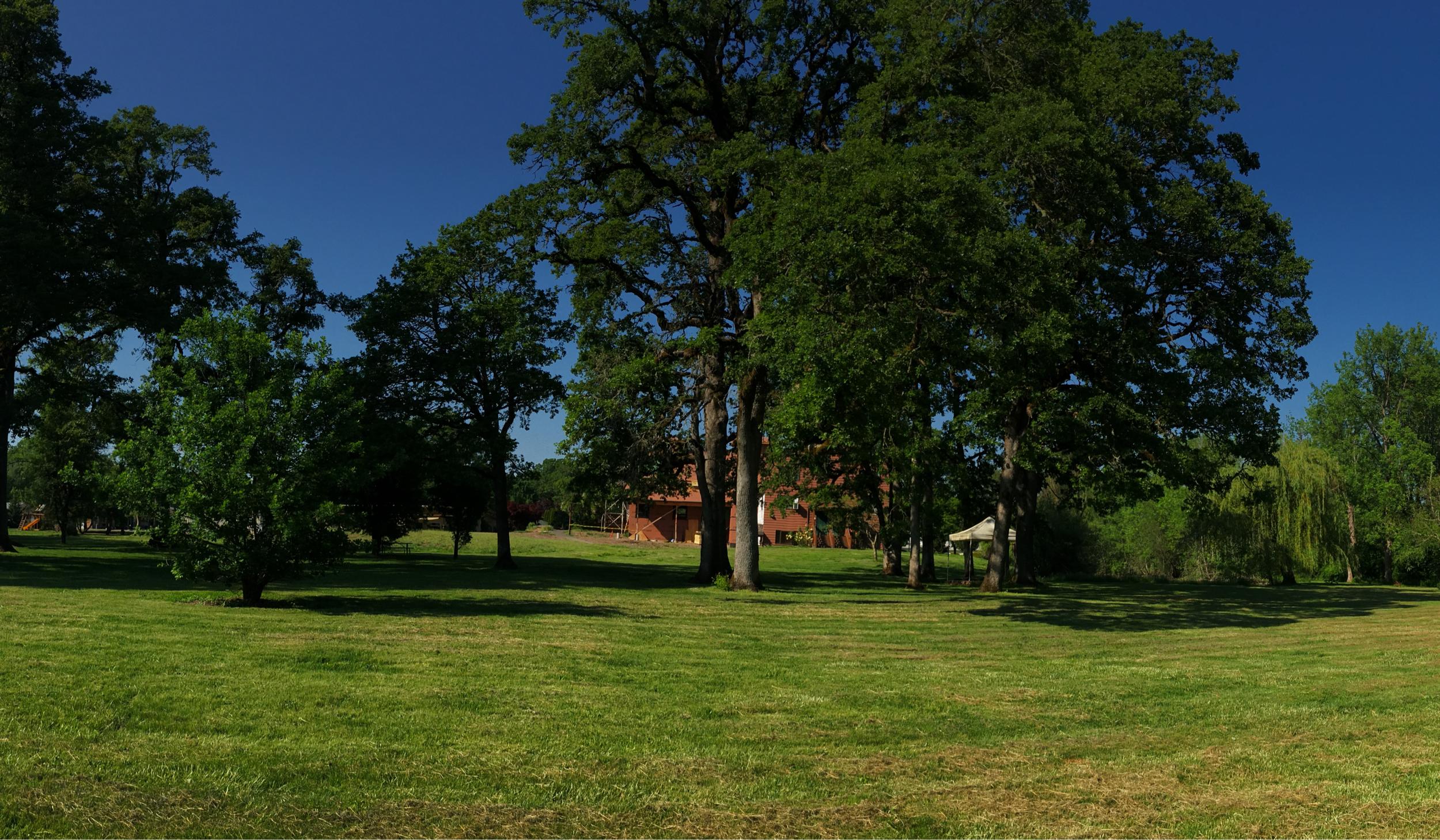 The Wedding Website of Abigail (Christina) Morris and Alexander Colburn