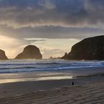 Chapman Beach