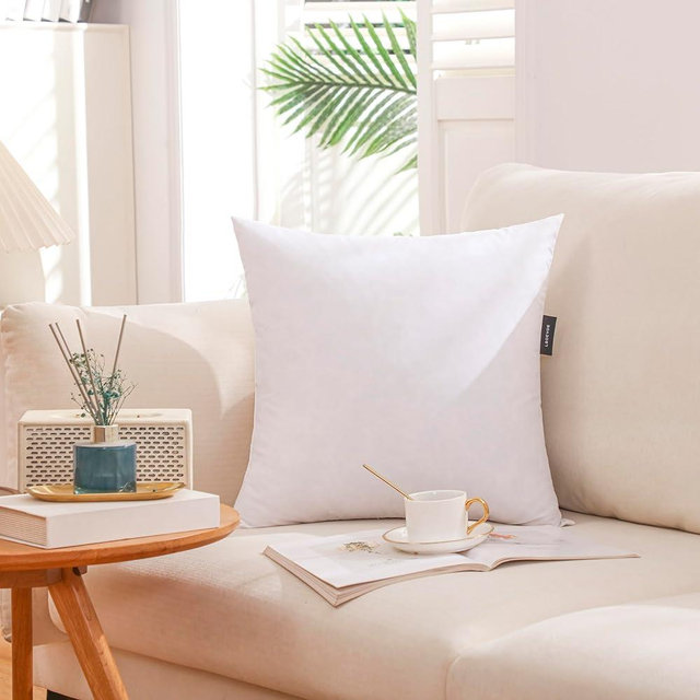 LBOEVDE 28x28 Inch Gold Goose Down and Feather Throw Pillow Inserts-1 Pack,White,Super Soft Cover,Double Layer Dwon Proof Design,High Filling Weight.