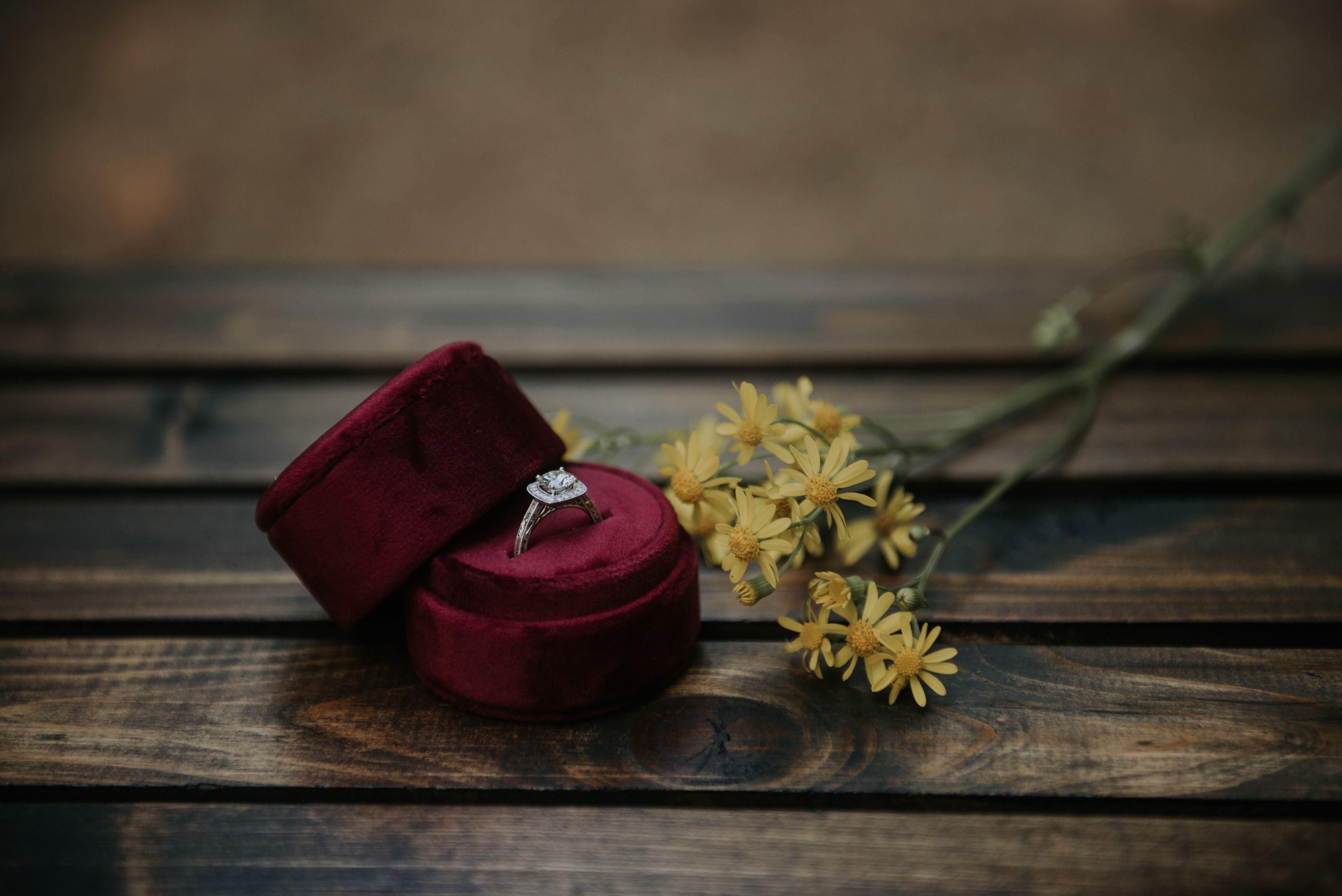 The Wedding Website of Stephanie Young and Russell Sullivan