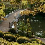 Chicago Botanic Garden