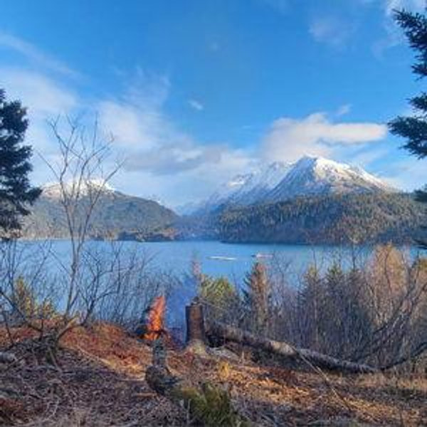 Halibut Cove Cabin