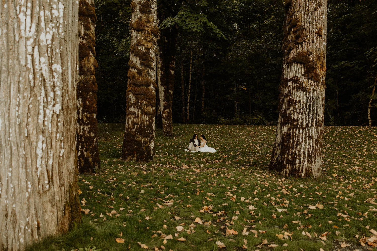 The Wedding Website of Quin Hazel and Samia Richey