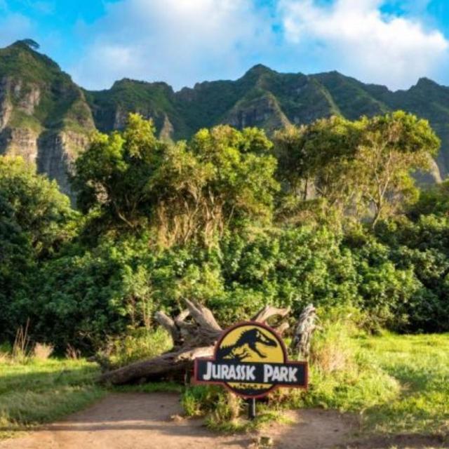 Honeymoon Fund | Jurassic Park ATV Tour