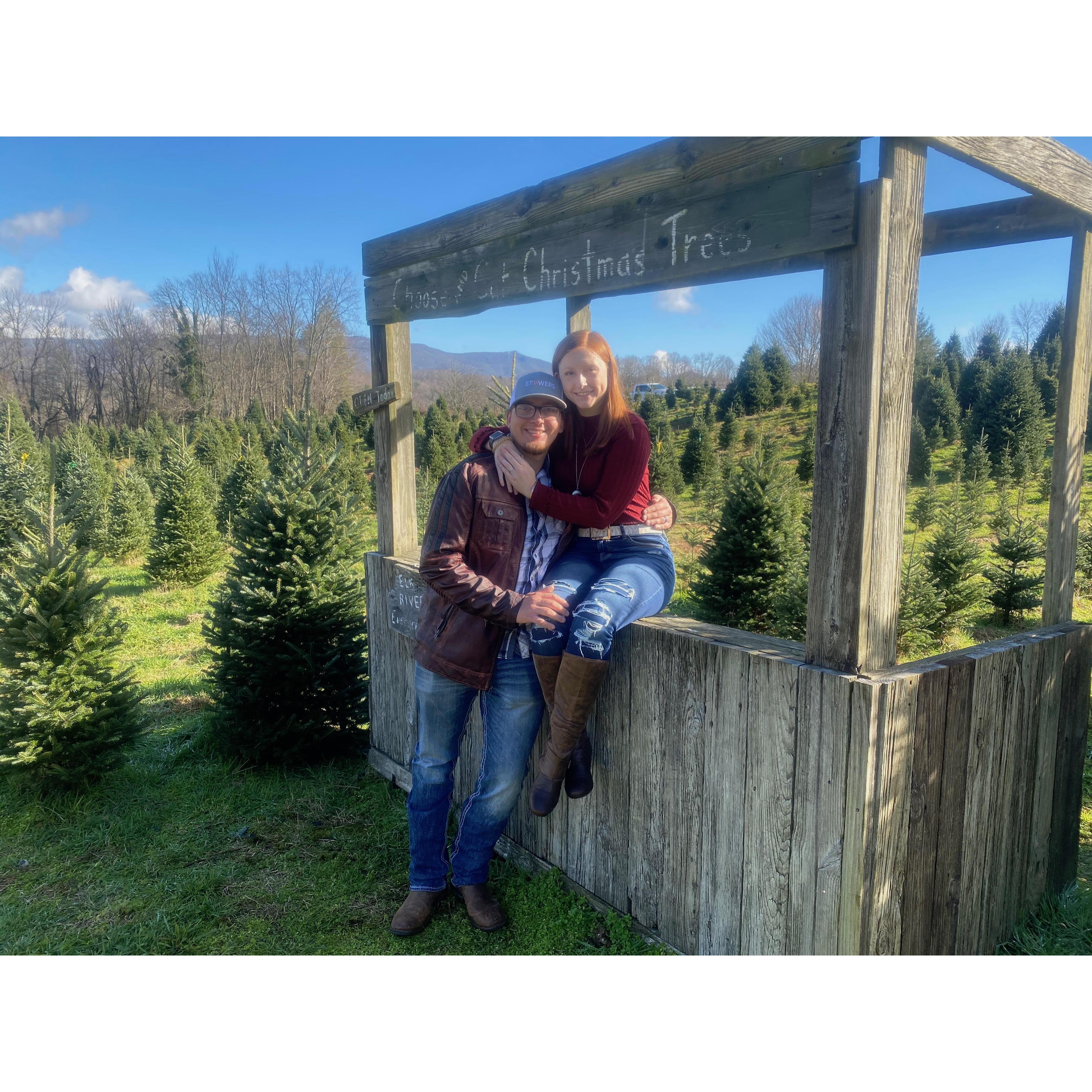 First time cutting a Christmas tree together
