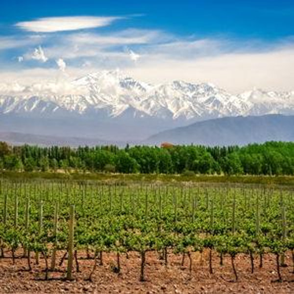 Argentina Honeymoon Fund