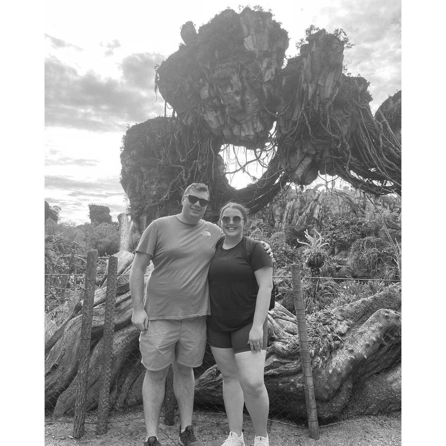 Animal Kingdom 2022
