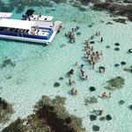 Stingray City Antigua