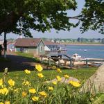 Salem Willows Park