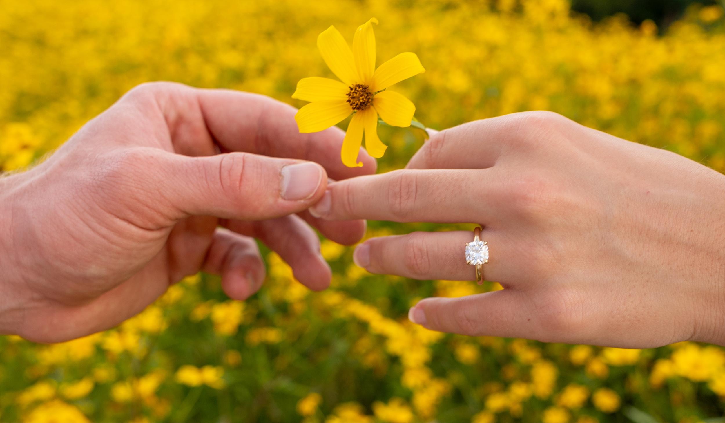 The Wedding Website of Bailey Stinson and Trae Benham