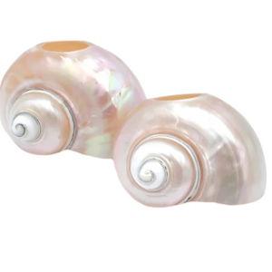 Seashell Napkin Rings, Set of 4