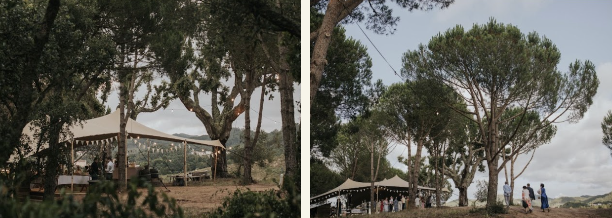The Wedding Website of JAMES MAGNUSON and ALLISON LAROSA