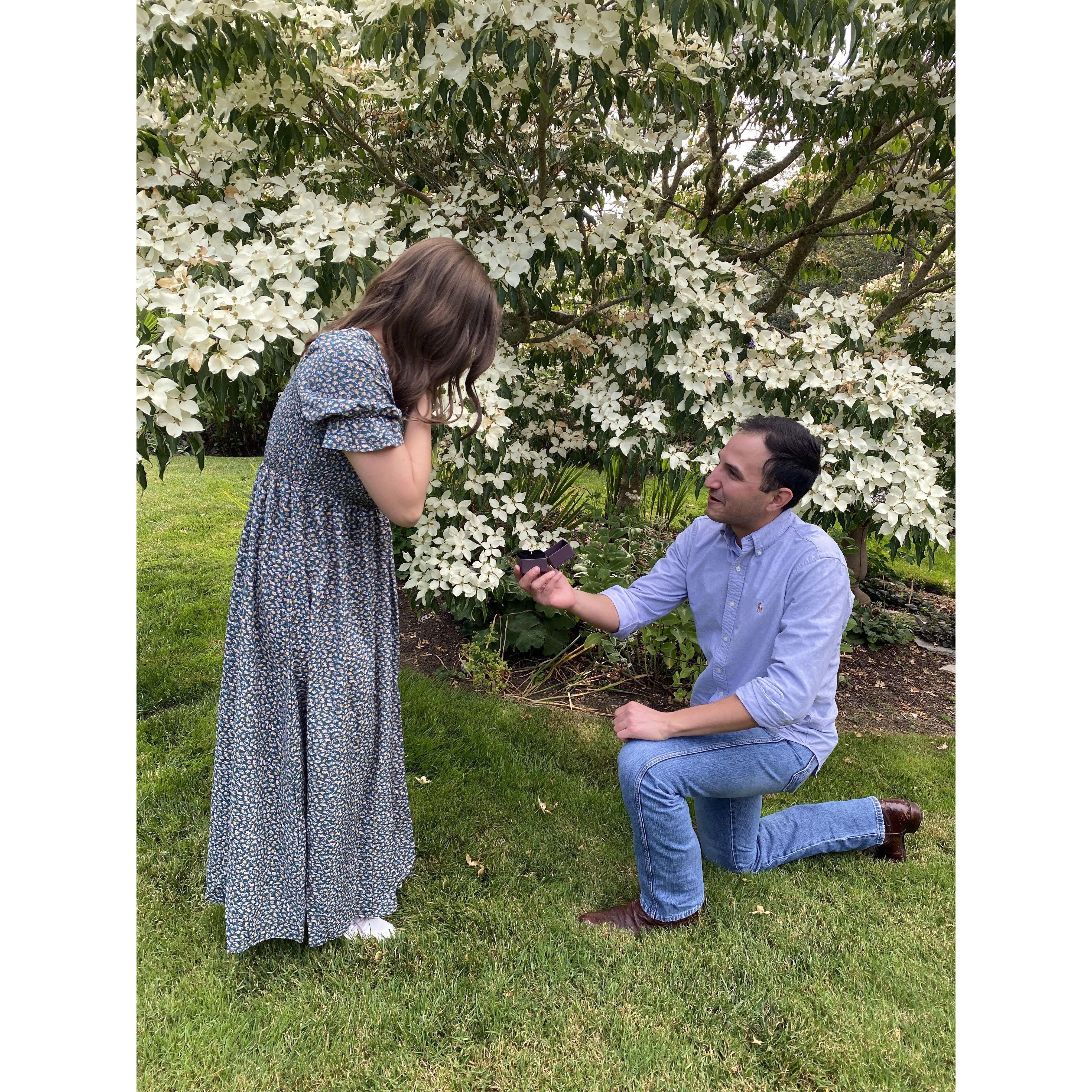 Matt pulled off the biggest surprise and the sweetest proposal!
