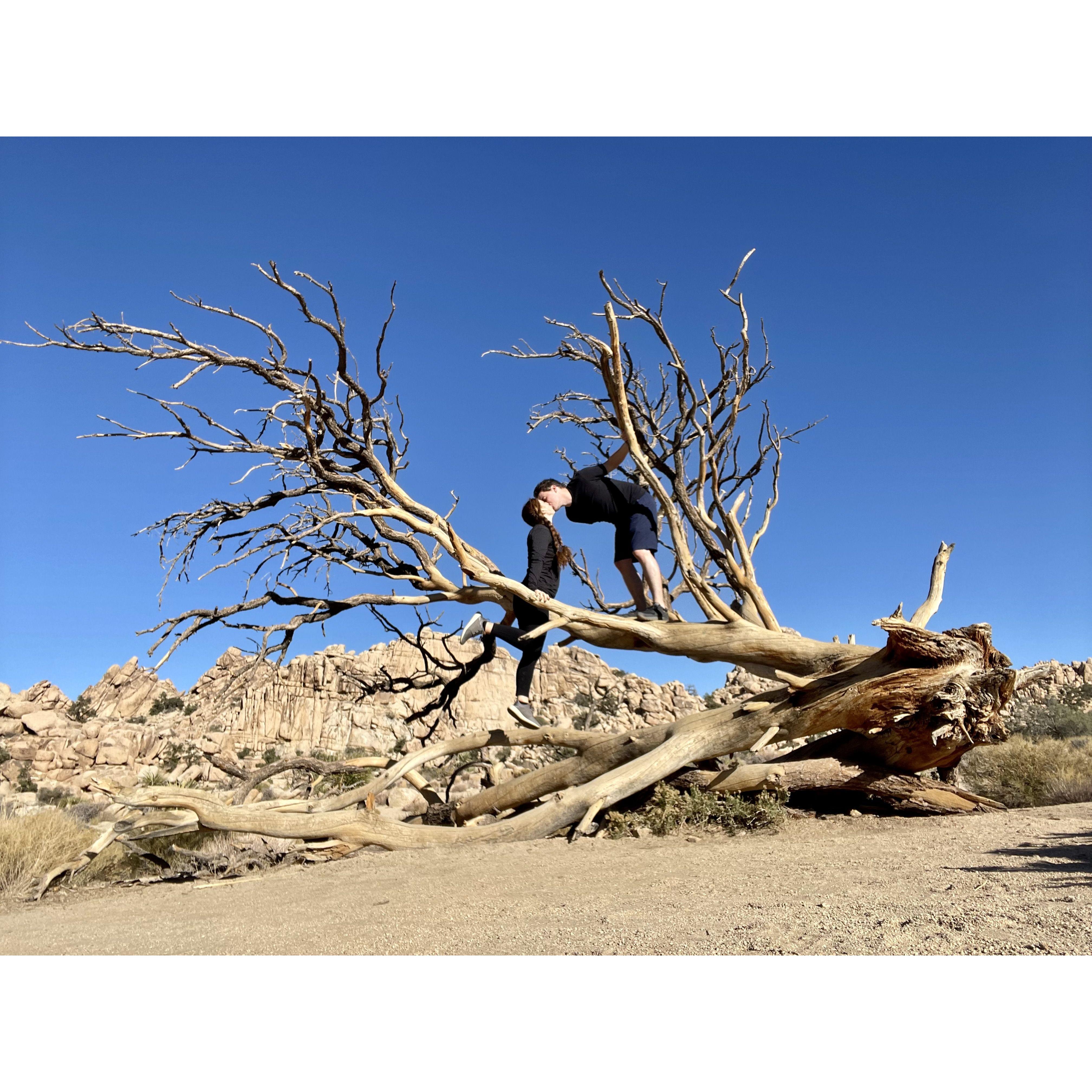 First trip as a couple to Joshua Tree