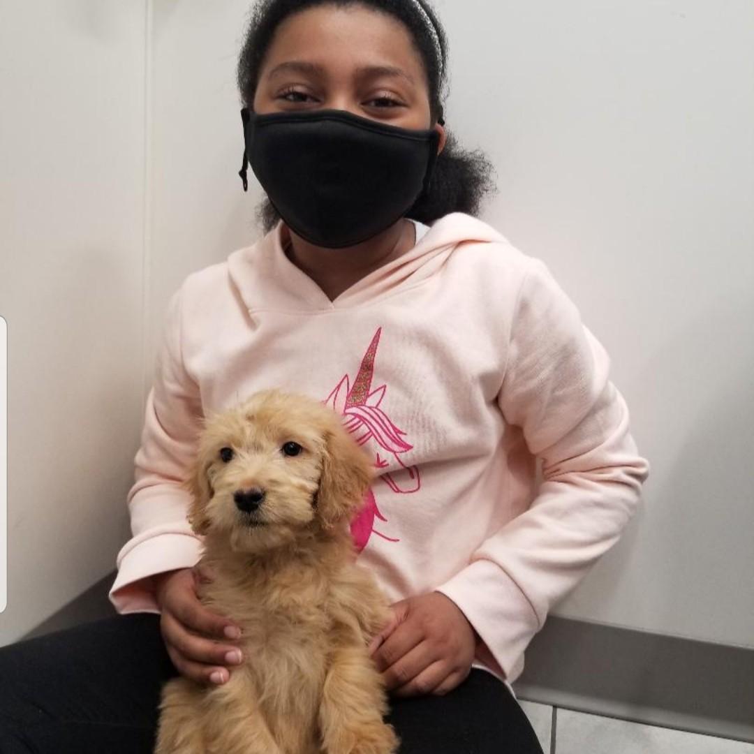 The Day we brought Bella home! March 2021
