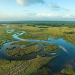 Everglades Holiday Park Airboat Tours and Rides