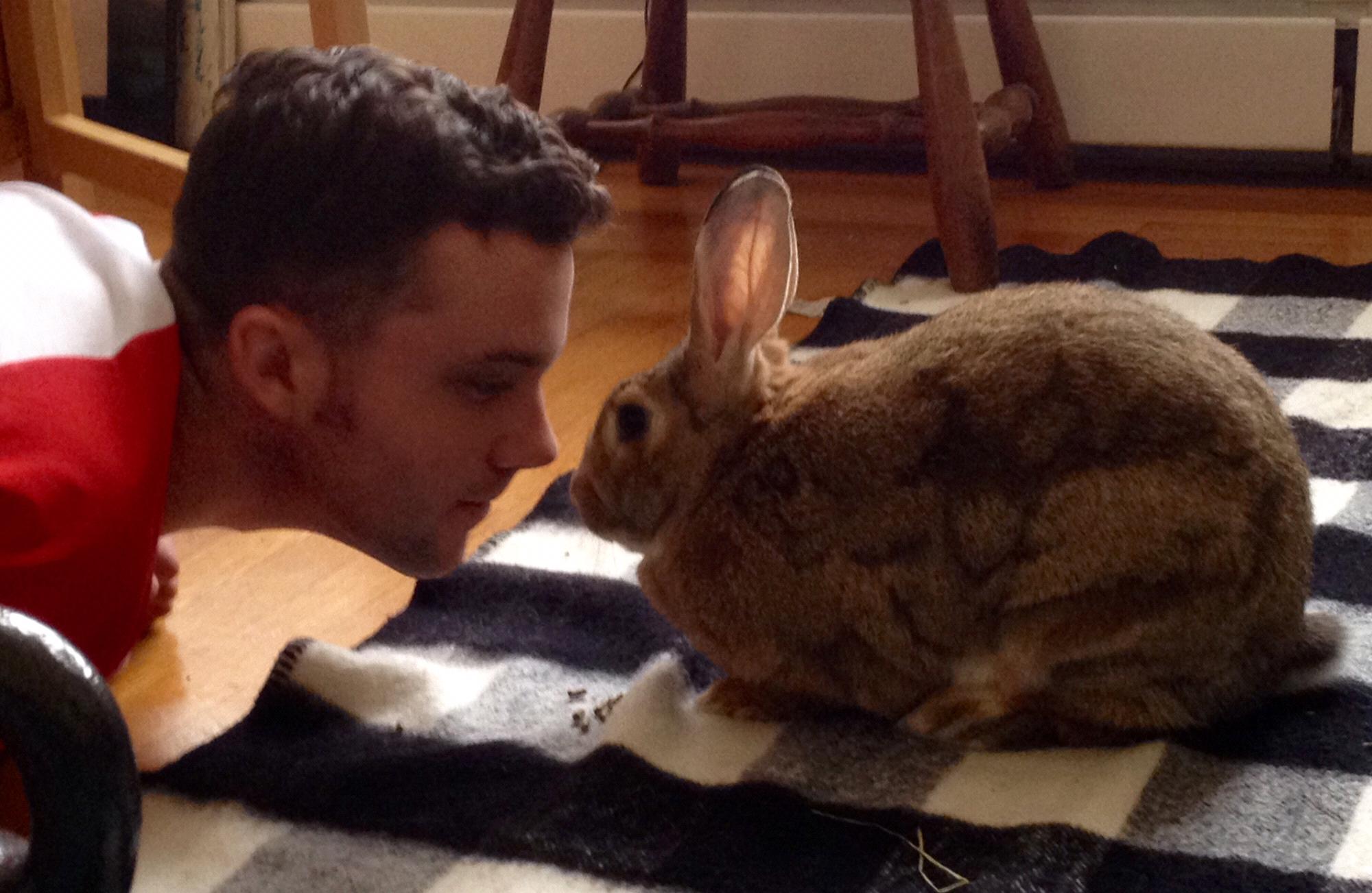 Donald courting a beautiful bun, Bonnie <3