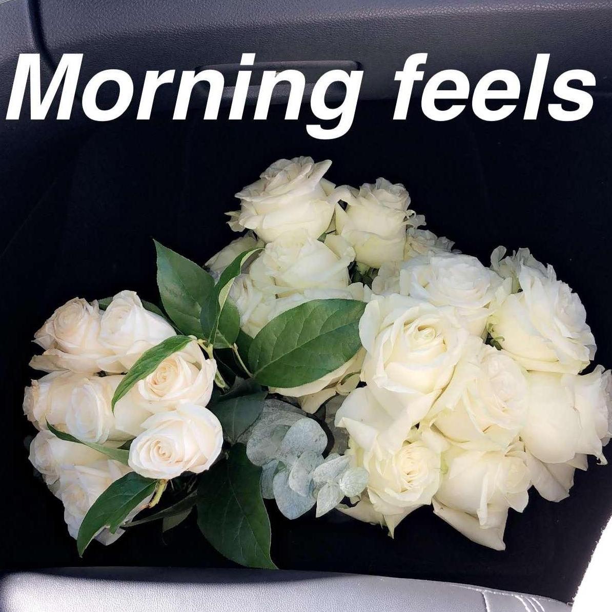Best morning after the proposal
