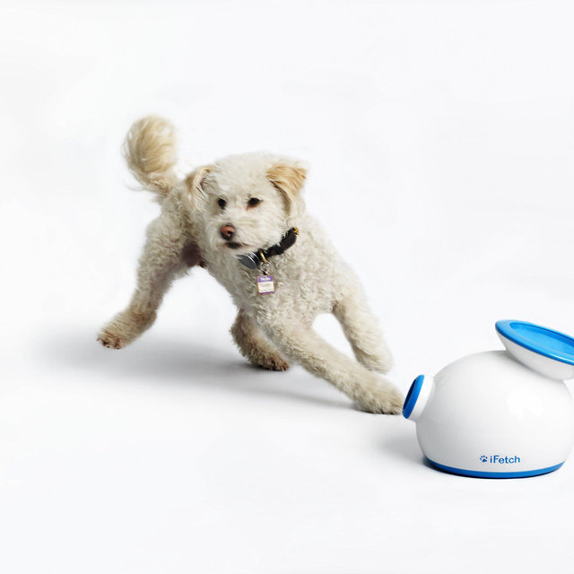 iFetch Interactive Ball Launchers for Dogs