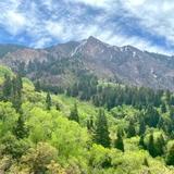 Taylor Canyon Hike