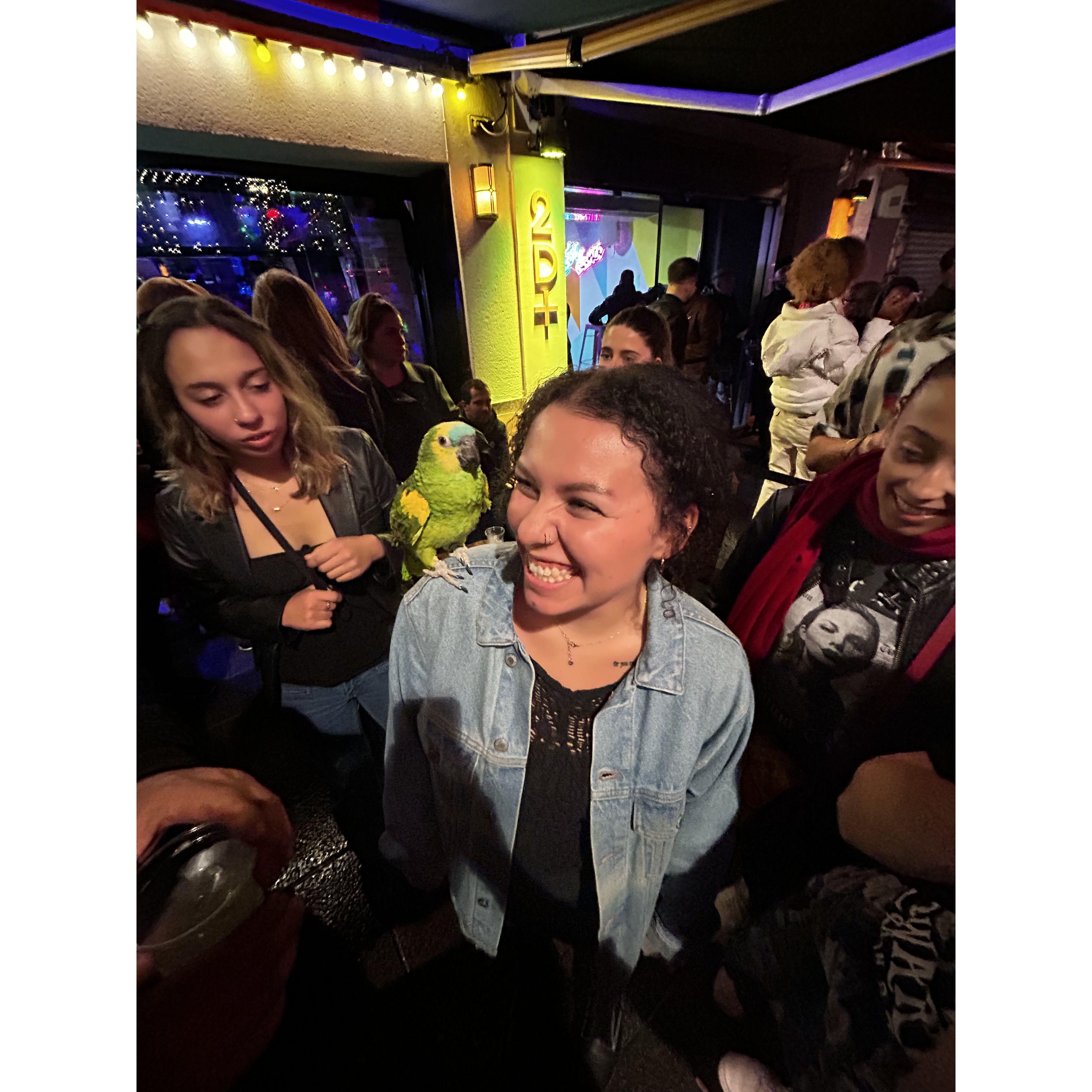 bird from Sing Street