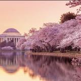 Tidal Basin