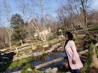 The Bog Garden